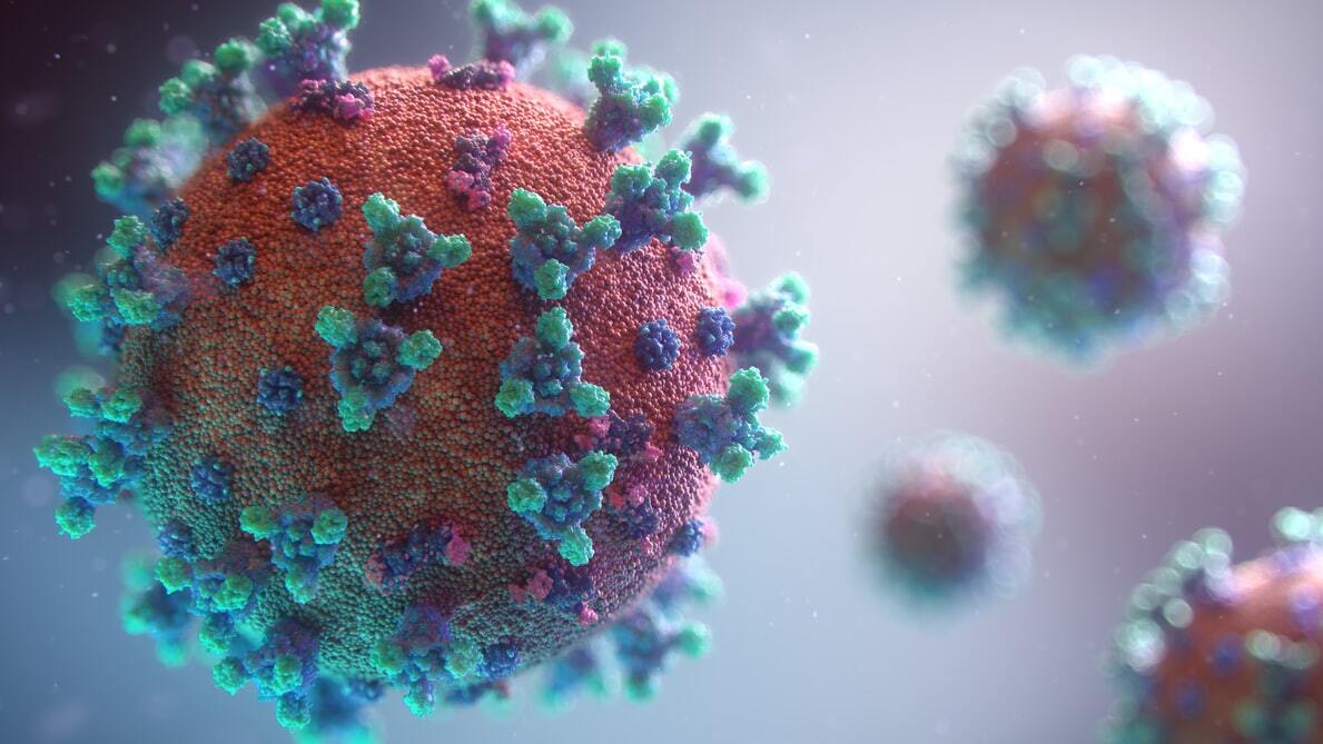 Read more about the article Tudo o que você precisa saber sobre o novo coronavírus